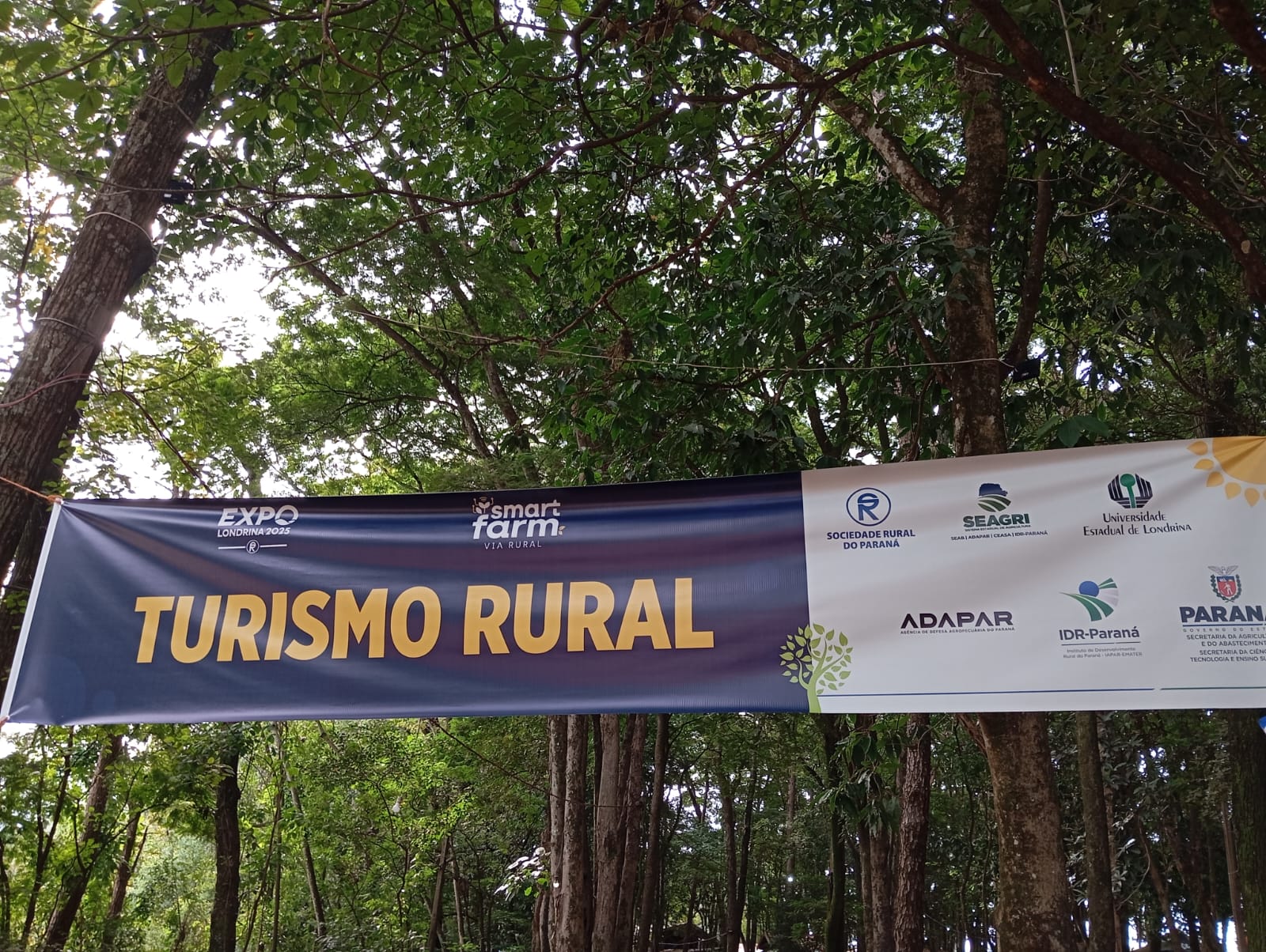 Imagem da exposição